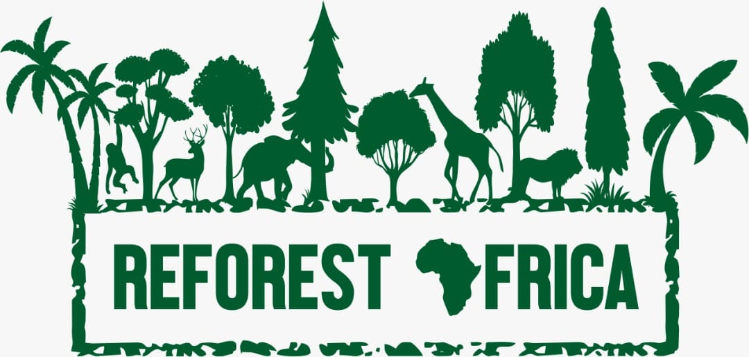 Celebrating International Day of Forests: Forests and Innovation – New ...